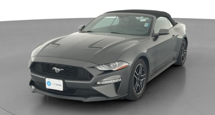 Thumbnail: 2019 Ford Mustang - 1