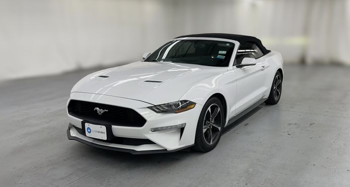 Thumbnail: 2019 Ford Mustang - 1