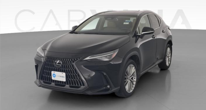 2024 Lexus NX