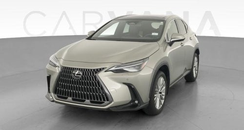 2024 Lexus NX