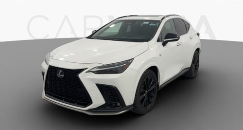 2023 Lexus NX