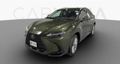 2023 Lexus NX
