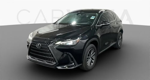 2022 Lexus NX