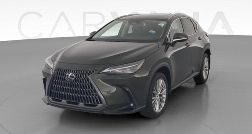2025 Lexus NX