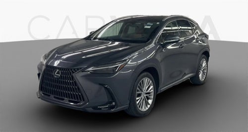 2022 Lexus NX