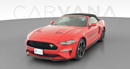 2019 Ford Mustang