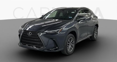 2022 Lexus NX