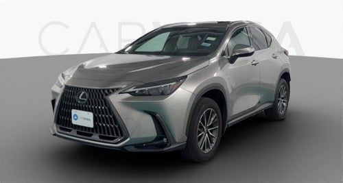 2024 Lexus NX