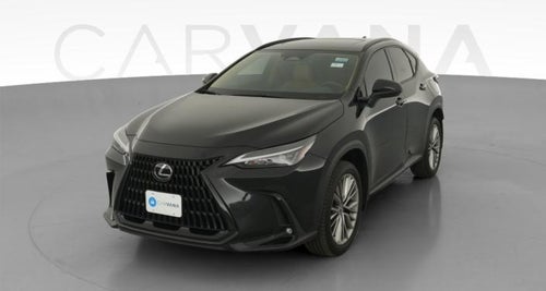 2024 Lexus NX