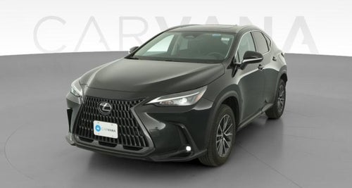 2025 Lexus NX