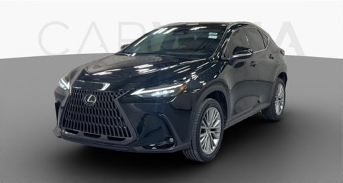 2022 Lexus NX