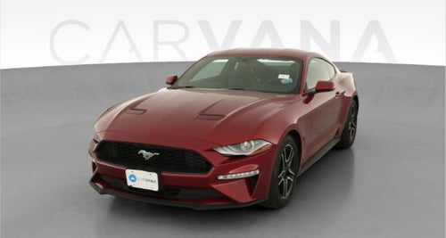 2019 Ford Mustang