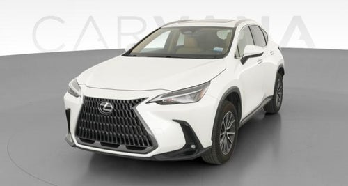 2022 Lexus NX