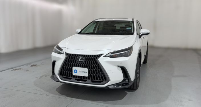 2025 Lexus NX