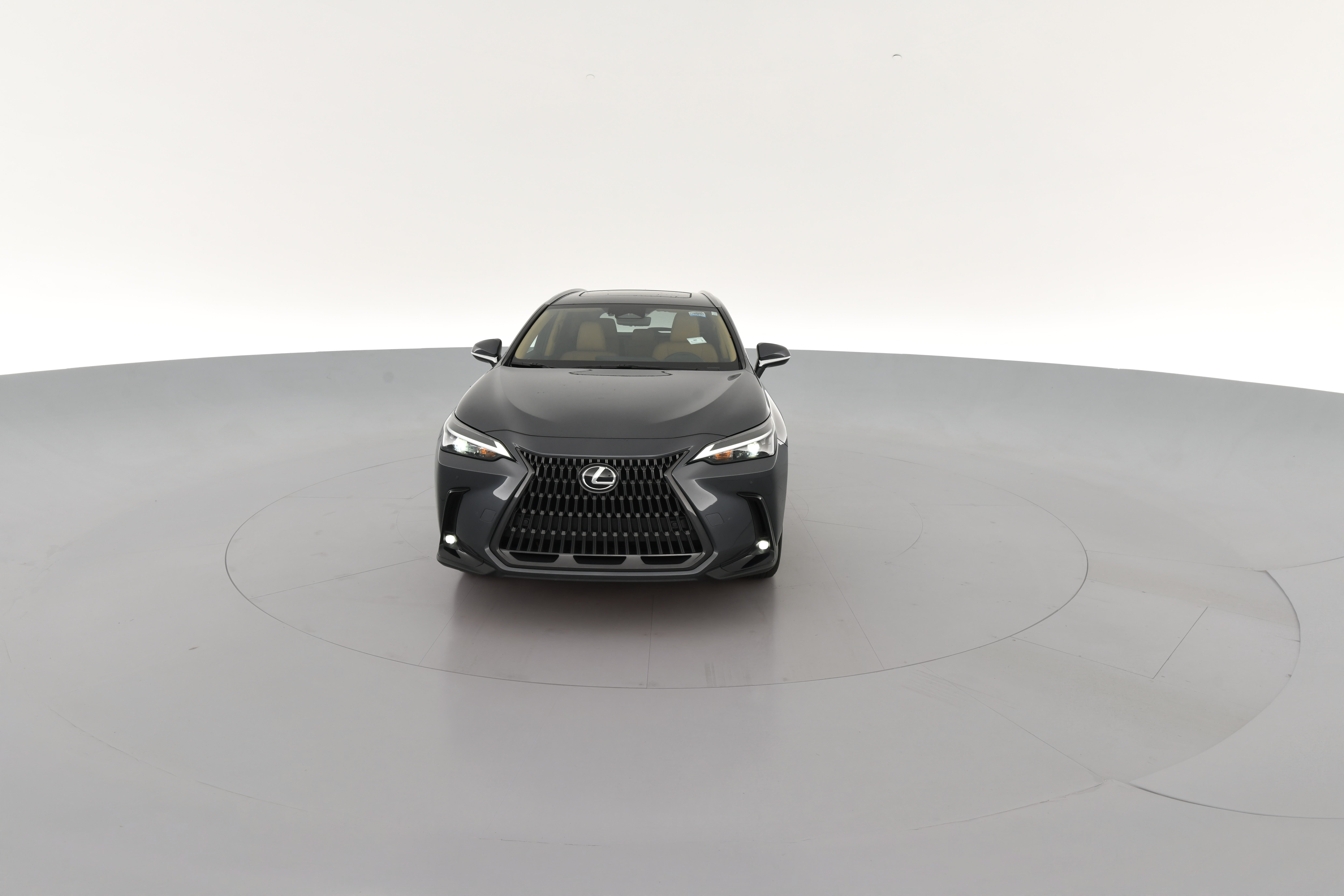 2024 Lexus NX | Carvana