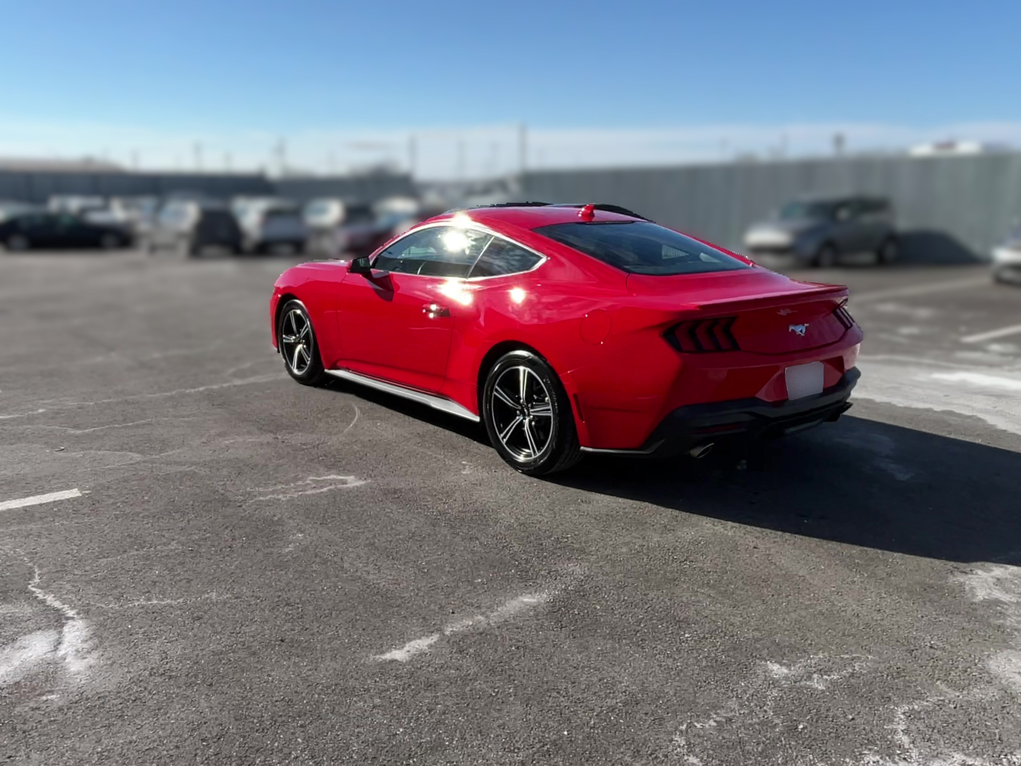 チ*ン様 V8エンジン ピンクオープンカー 2024 Ford Mustang | Carvana