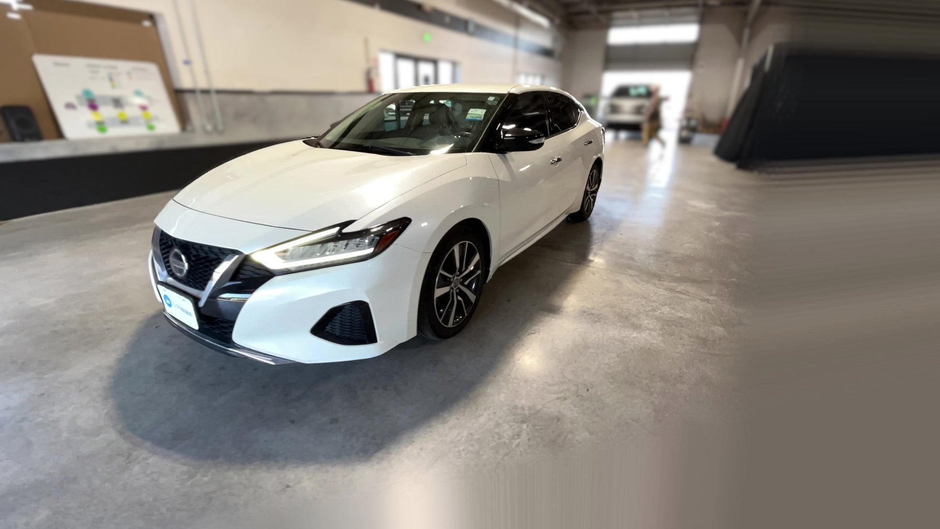 2019 Nissan Maxima vehicle photo