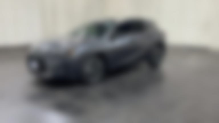 2025 Lexus UX vehicle photo