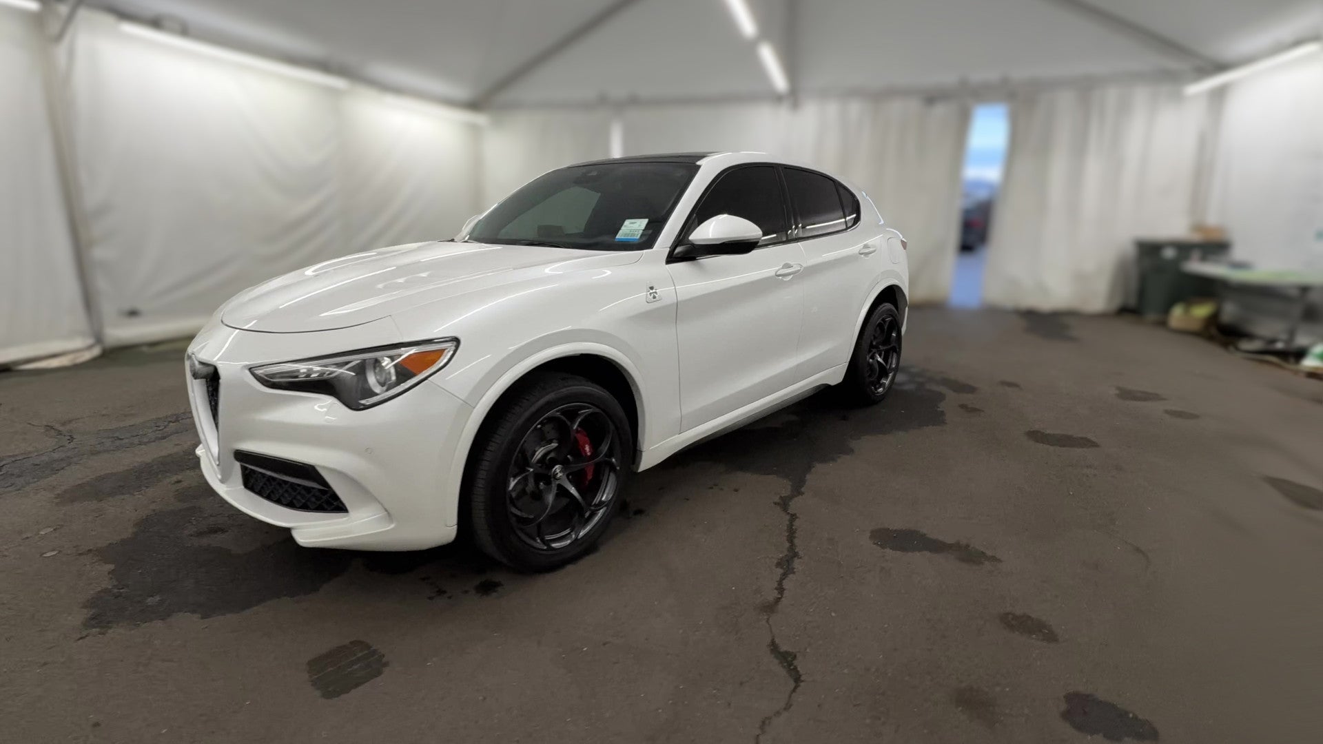2019 Alfa Romeo Stelvio vehicle photo