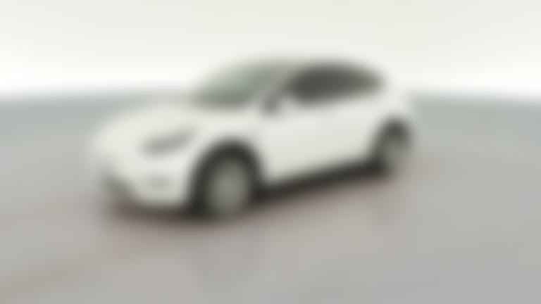 2023 Tesla Model Y vehicle photo