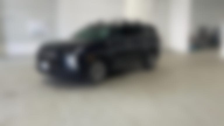 2024 Hyundai Palisade vehicle photo