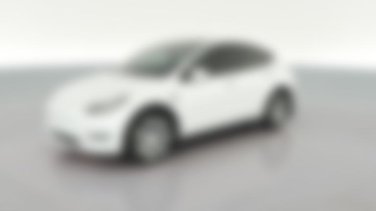 2023 Tesla Model Y vehicle photo