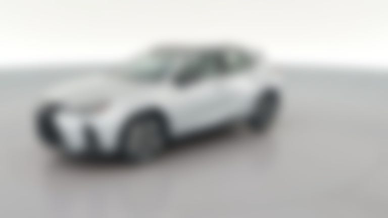 2025 Lexus UX vehicle photo