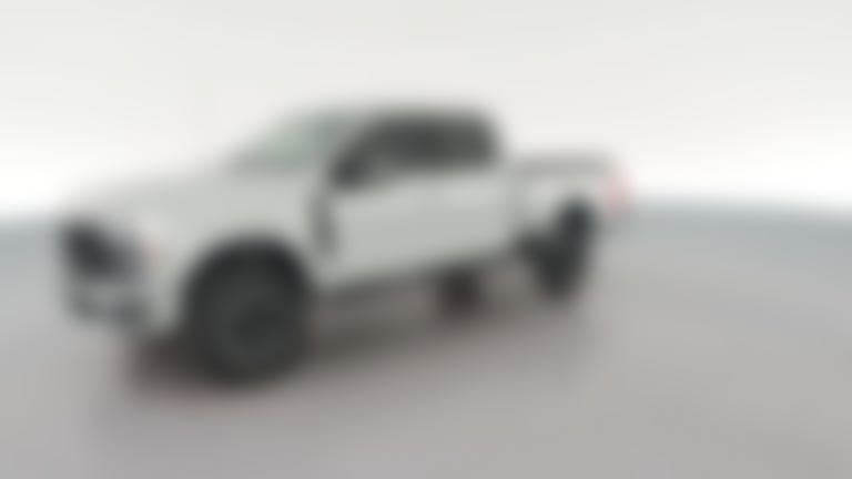 2025 Ford F250 Super Duty Crew Cab vehicle photo