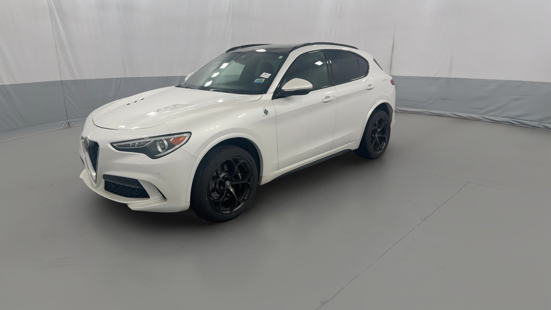 2019 Alfa Romeo Stelvio vehicle photo