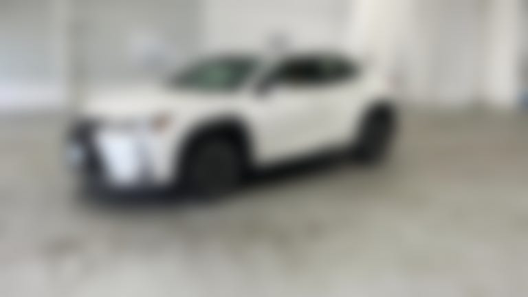 2019 Lexus UX vehicle photo