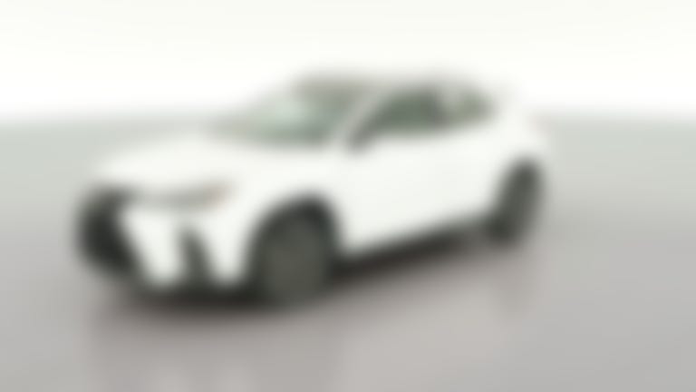 2023 Lexus UX vehicle photo