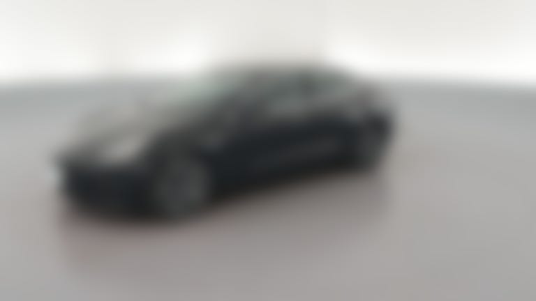 2019 Tesla Model 3 vehicle photo