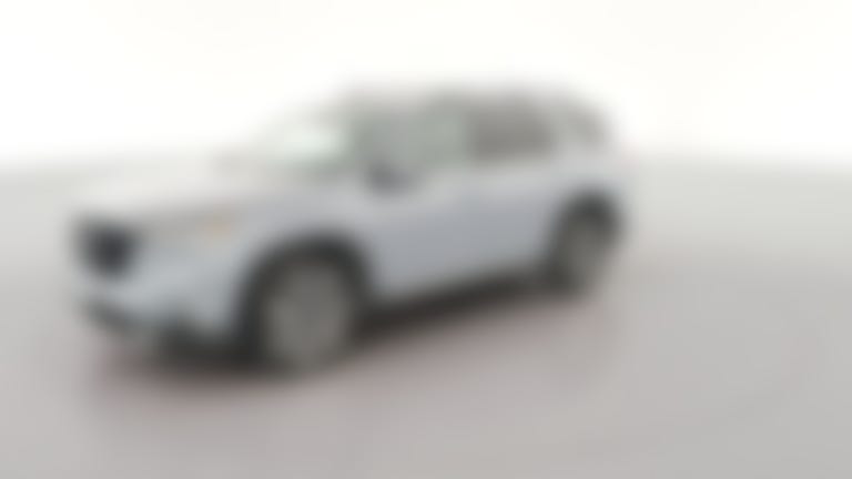2024 Honda Pilot vehicle photo