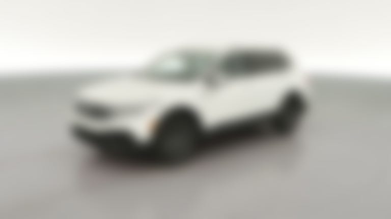 2024 Volkswagen Tiguan vehicle photo