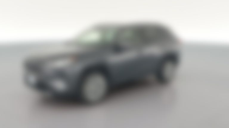 2019 Toyota RAV4 vehicle photo
