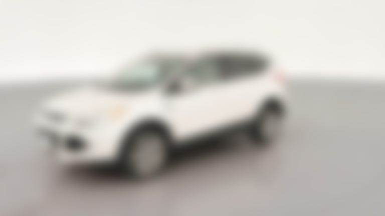 2014 Ford Escape vehicle photo