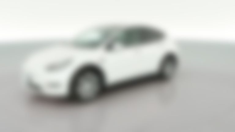 2021 Tesla Model Y vehicle photo
