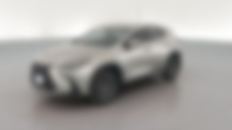 2024 Lexus NX vehicle photo