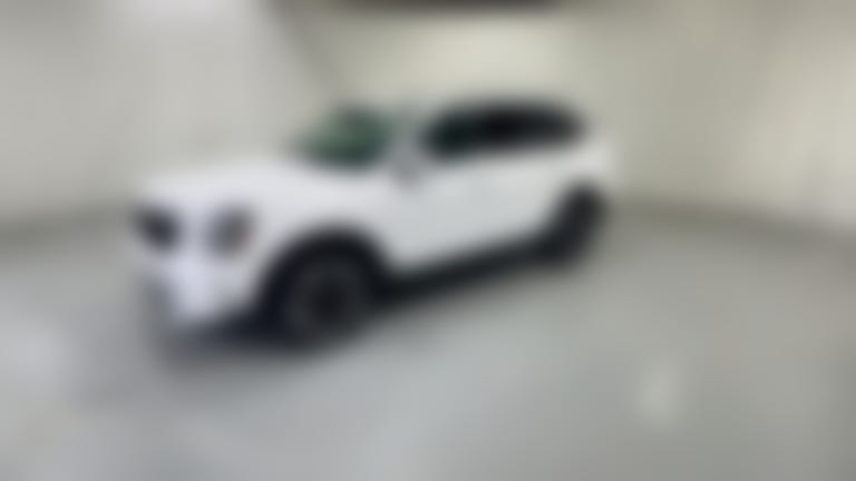 2025 Kia Telluride vehicle photo