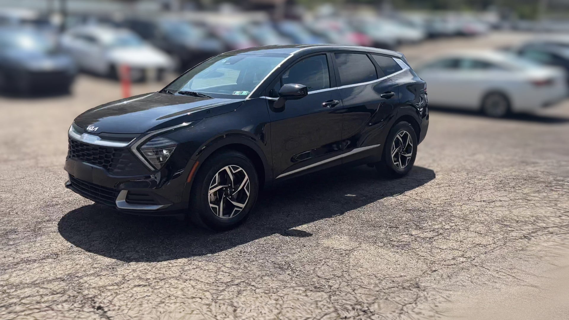 2025 Kia Sportage vehicle photo