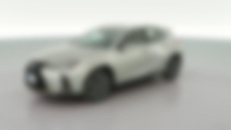 2022 Lexus UX vehicle photo