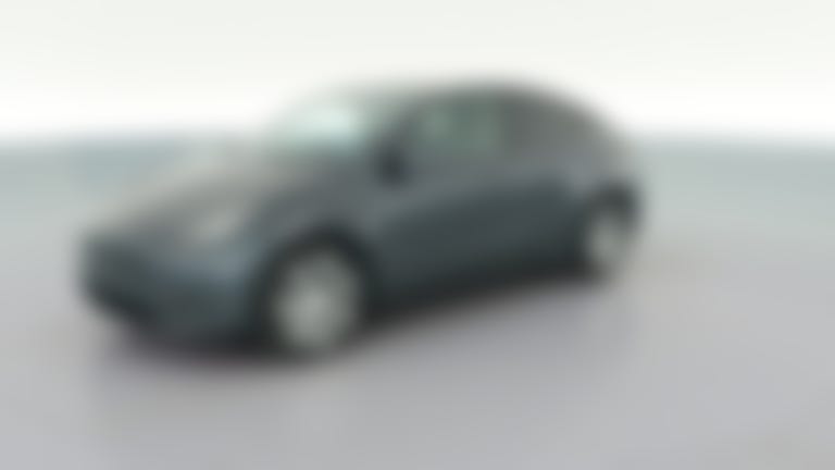 2021 Tesla Model Y vehicle photo