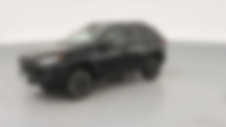 2021 Toyota RAV4 vehicle photo