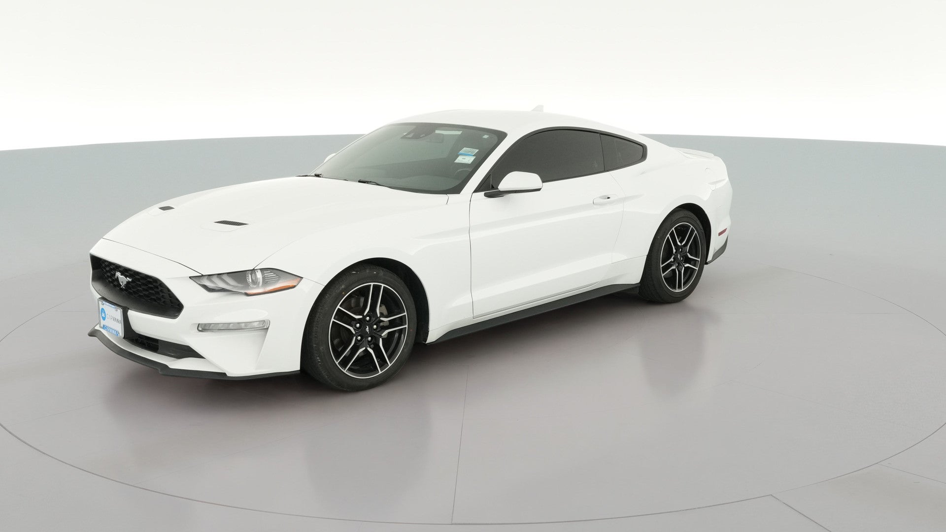 2023 Ford Mustang vehicle photo