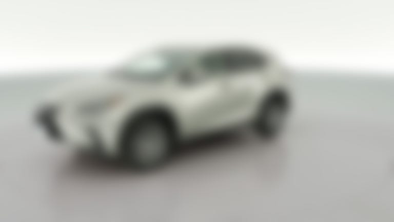 2020 Lexus NX vehicle photo