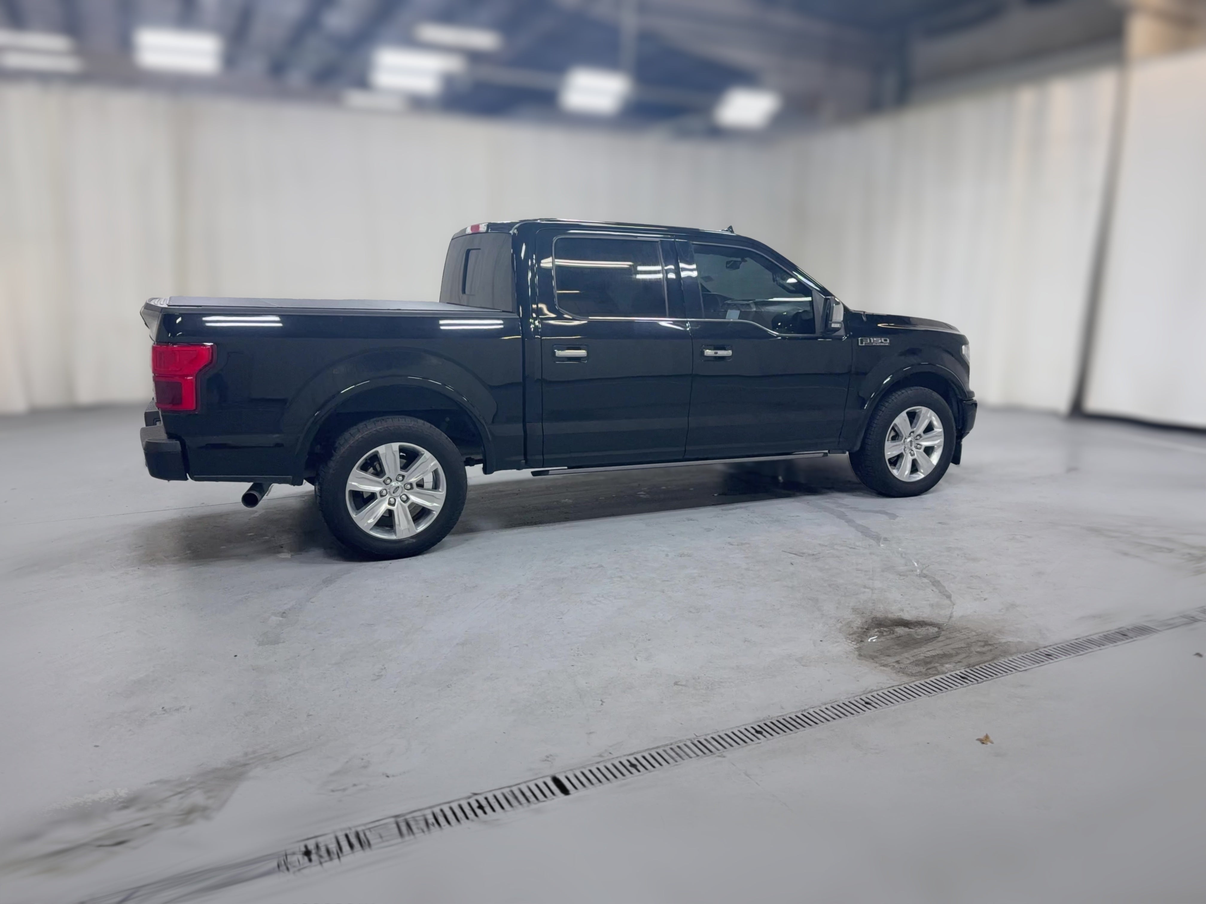 2019 Ford F-150 Platinum - Photo 36