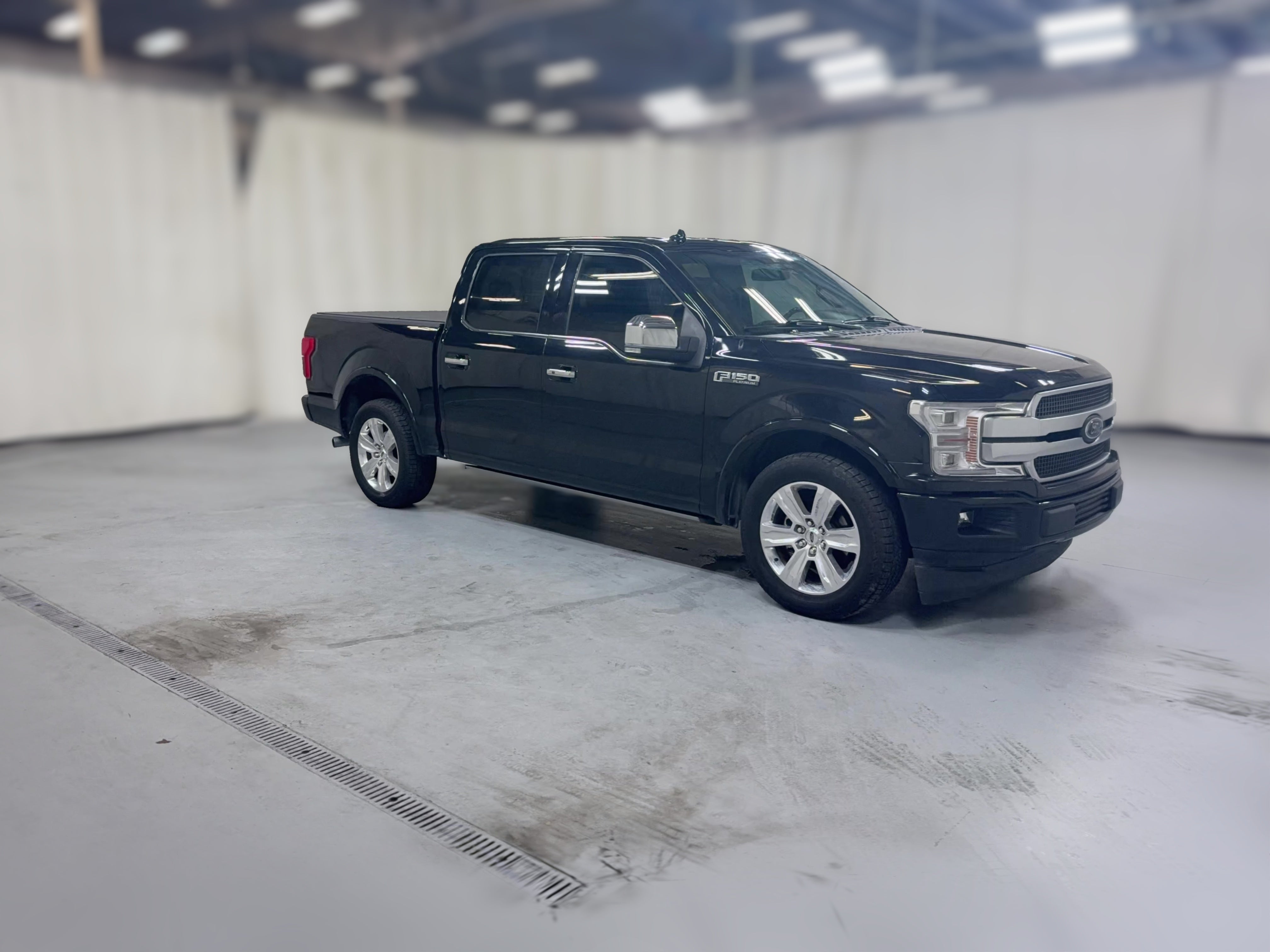 2019 Ford F-150 Platinum - Photo 39