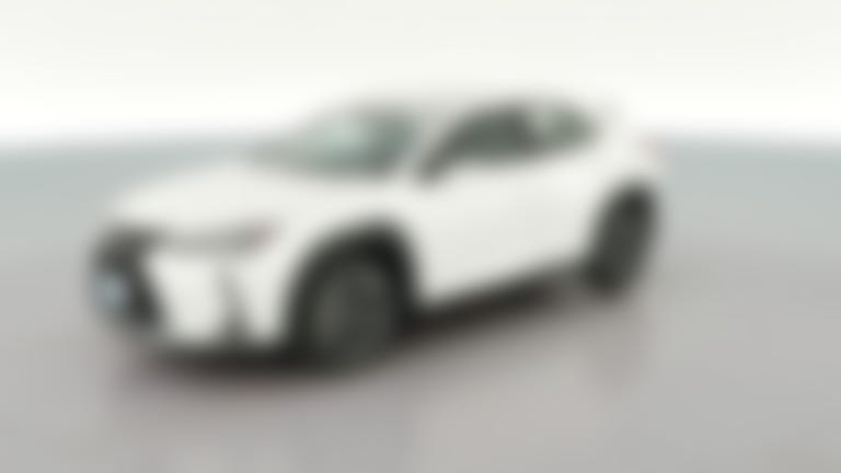2020 Lexus UX vehicle photo