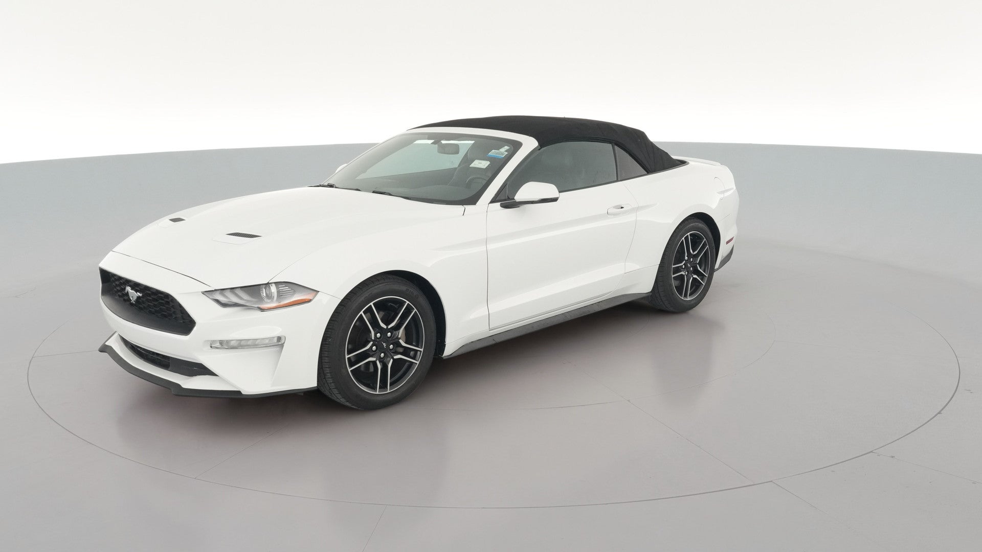 2019 Ford Mustang vehicle photo