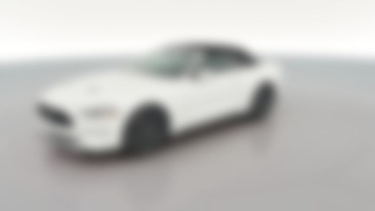2019 Ford Mustang vehicle photo